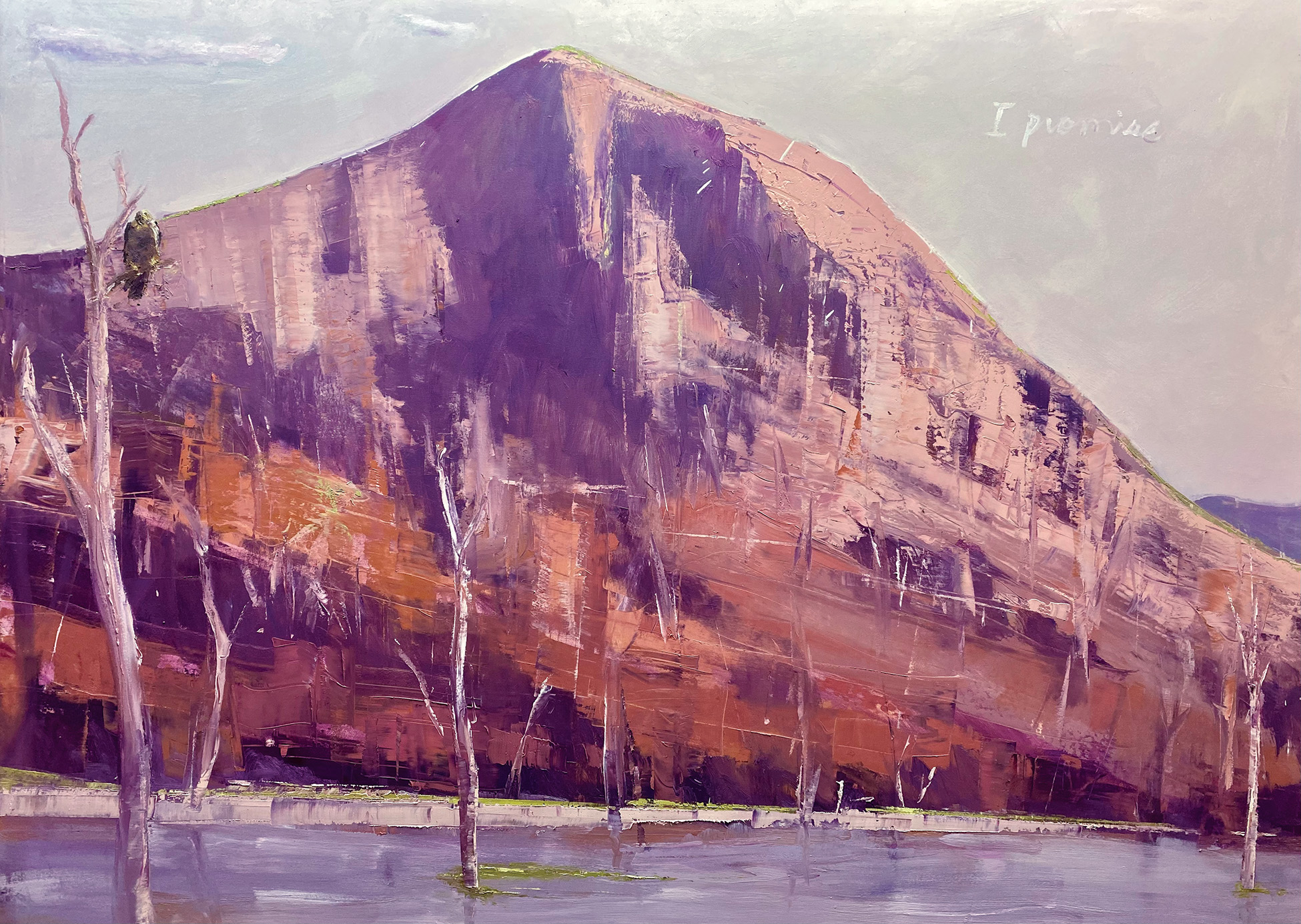 Promised Land, Mount Greville, Moogerah by Todd Whisson | Clayton Utz Art Award 2022 Finalists | Lethbridge Gallery