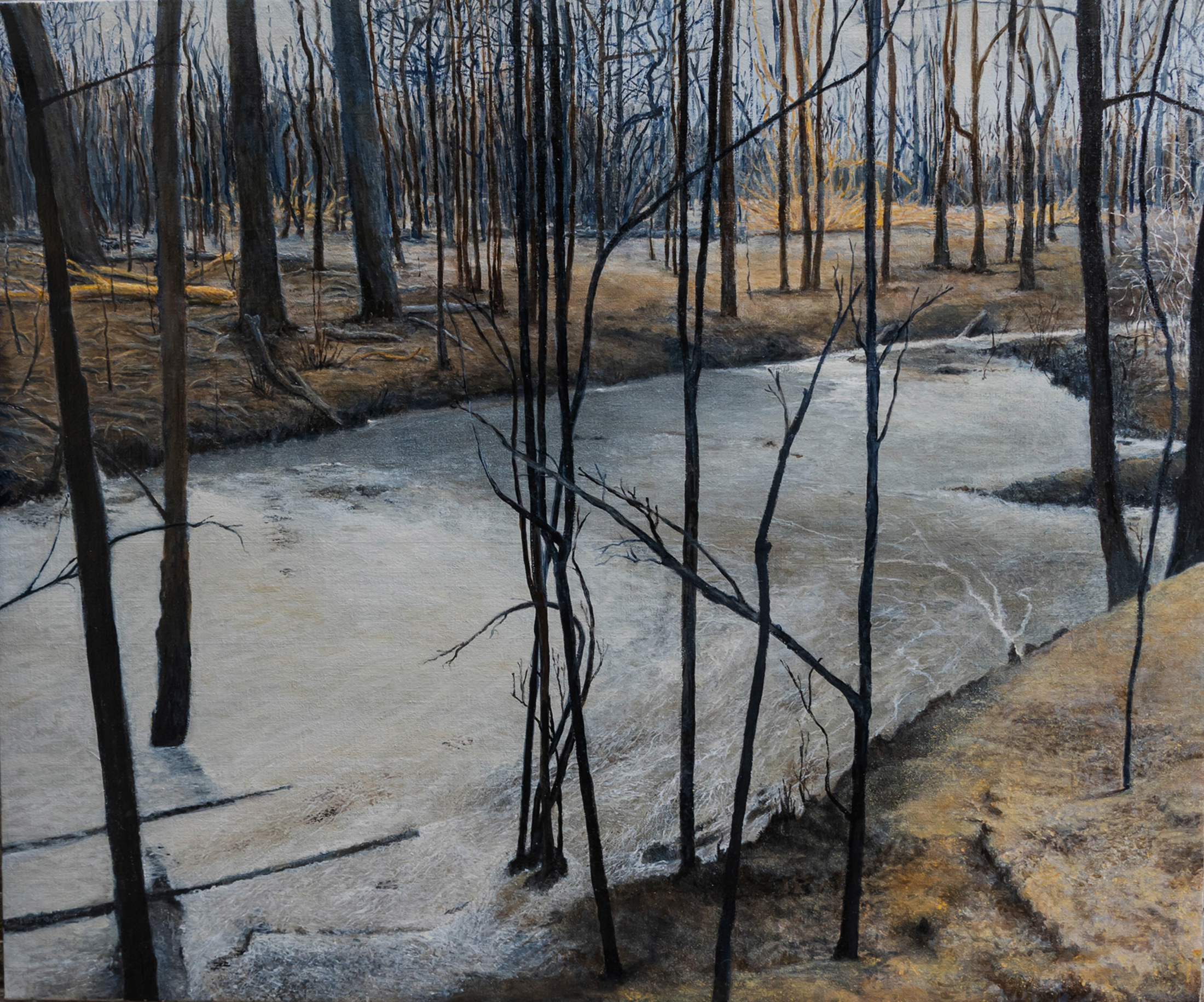 River of Ash by Rafael Butron | Lethbridge Landscape Prize 2023 Finalists | Lethbridge Gallery