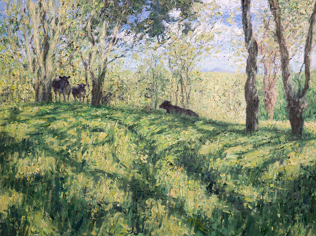 Maryvale, Cows by Daniel Scott | Lethbridge Landscape Prize 2023 Finalists | Lethbridge Gallery