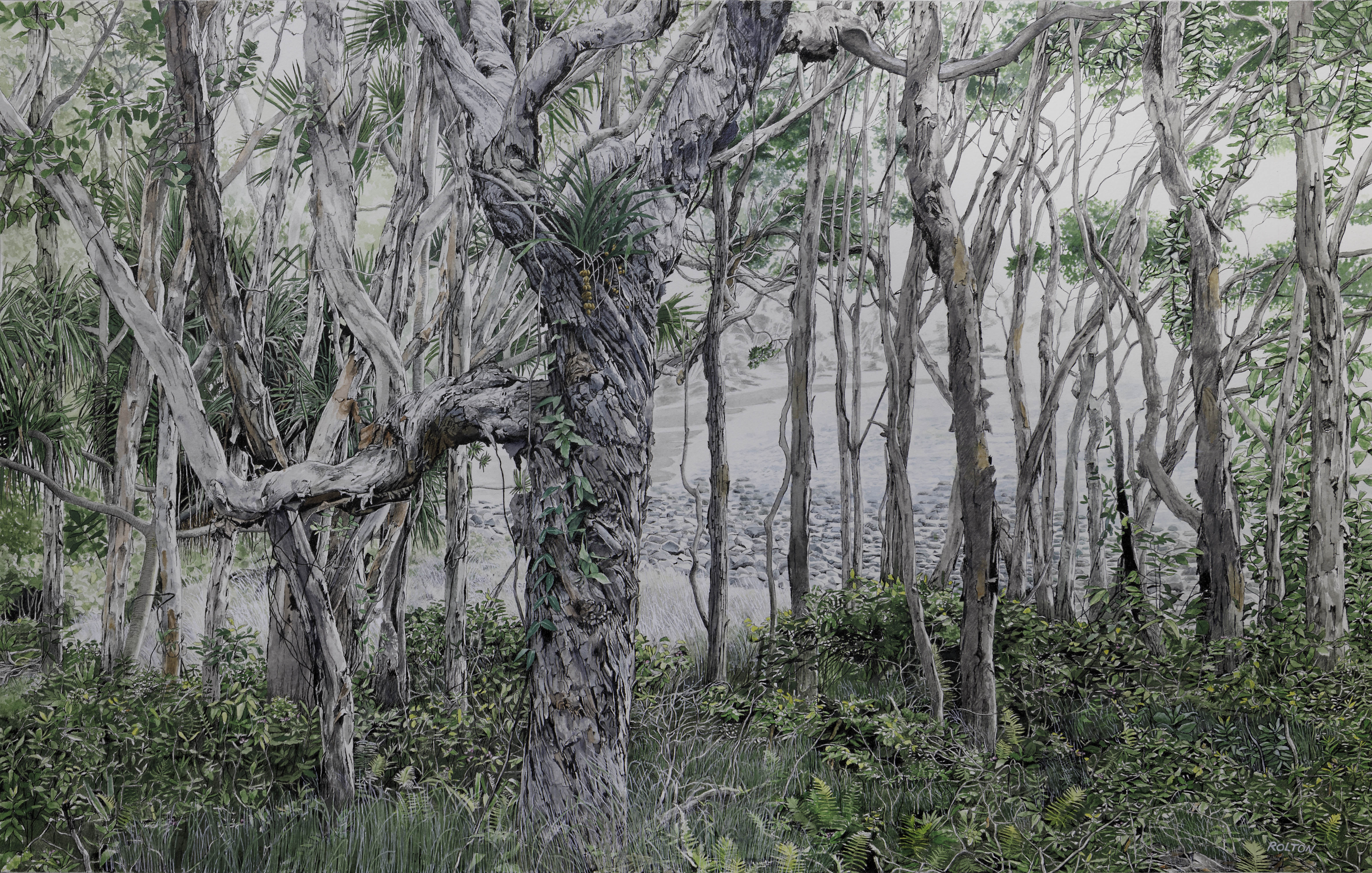 Tea Tree Bay  by Phillip Rolton | Lethbridge Landscape Prize 2023 Finalists | Lethbridge Gallery