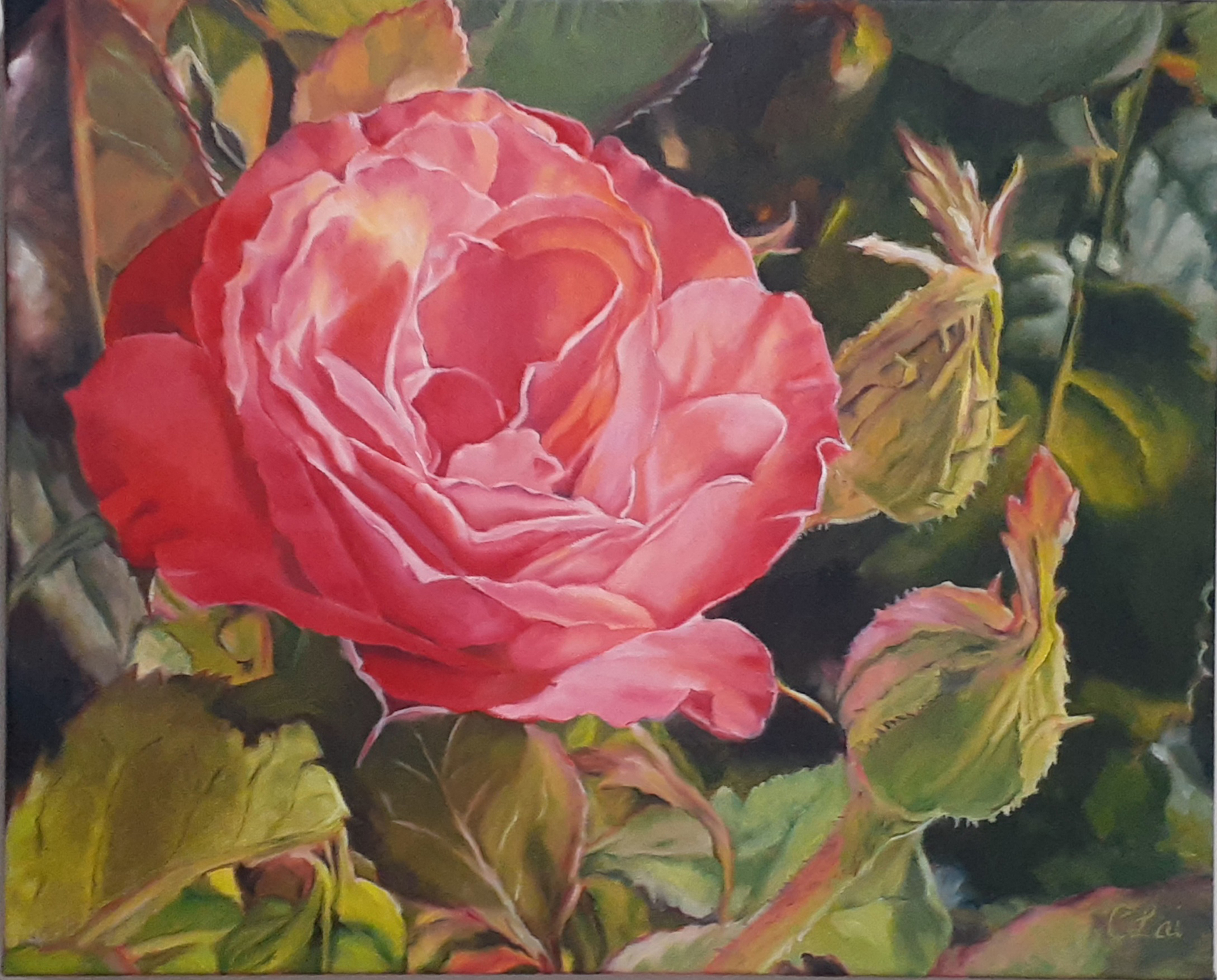 Miniature Rose by Claire Lai | Lethbridge 20000 2023 Finalists | Lethbridge Gallery