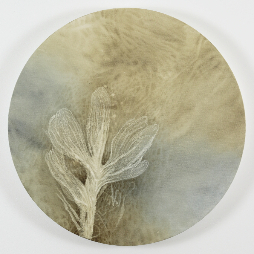 Delicate Musings by Shirley Ploog | Lethbridge 20000 2023 Finalists | Lethbridge Gallery