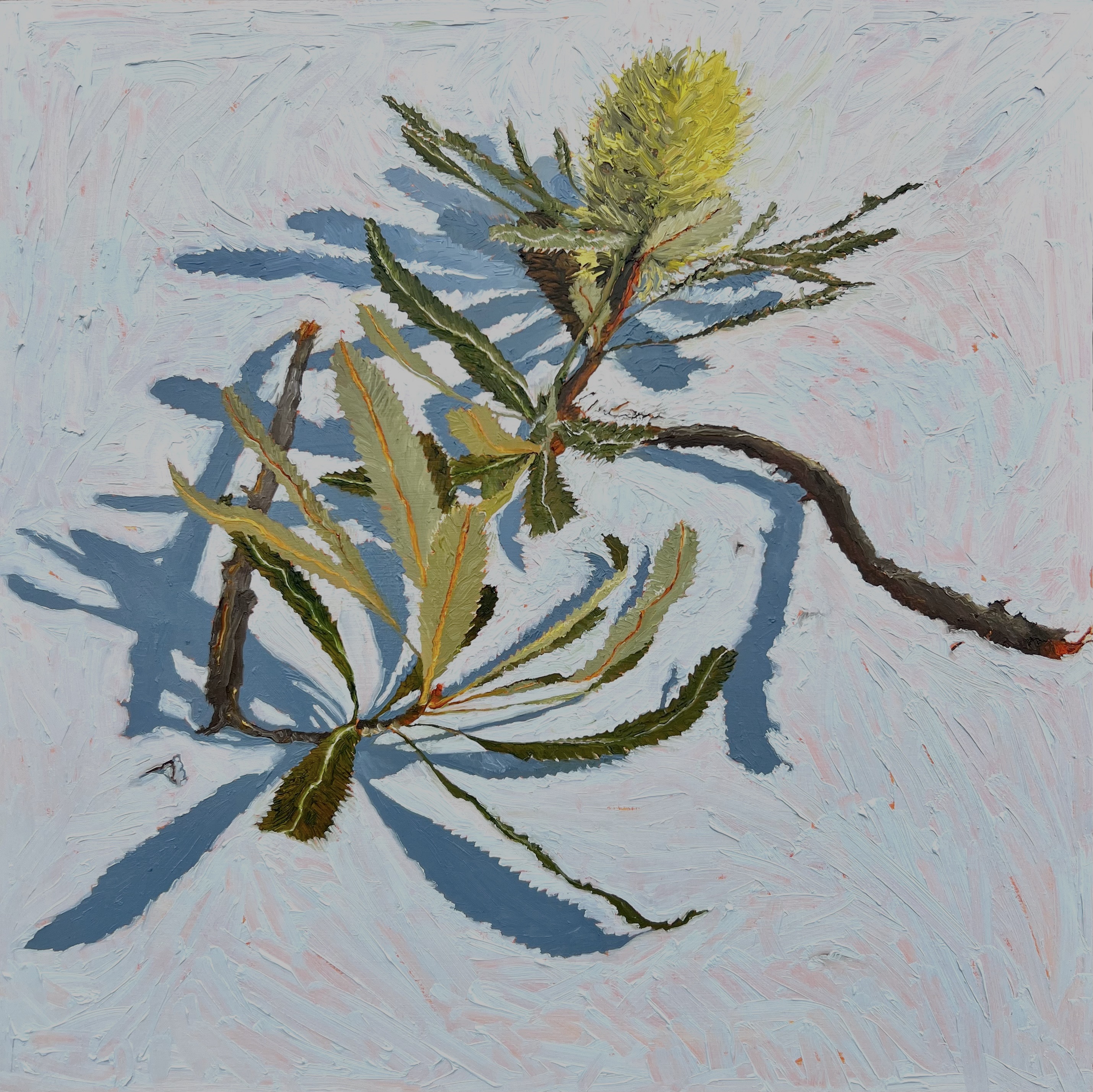 Banksia Serrata by Linda Greedy | Lethbridge 20000 2023 Finalists | Lethbridge Gallery