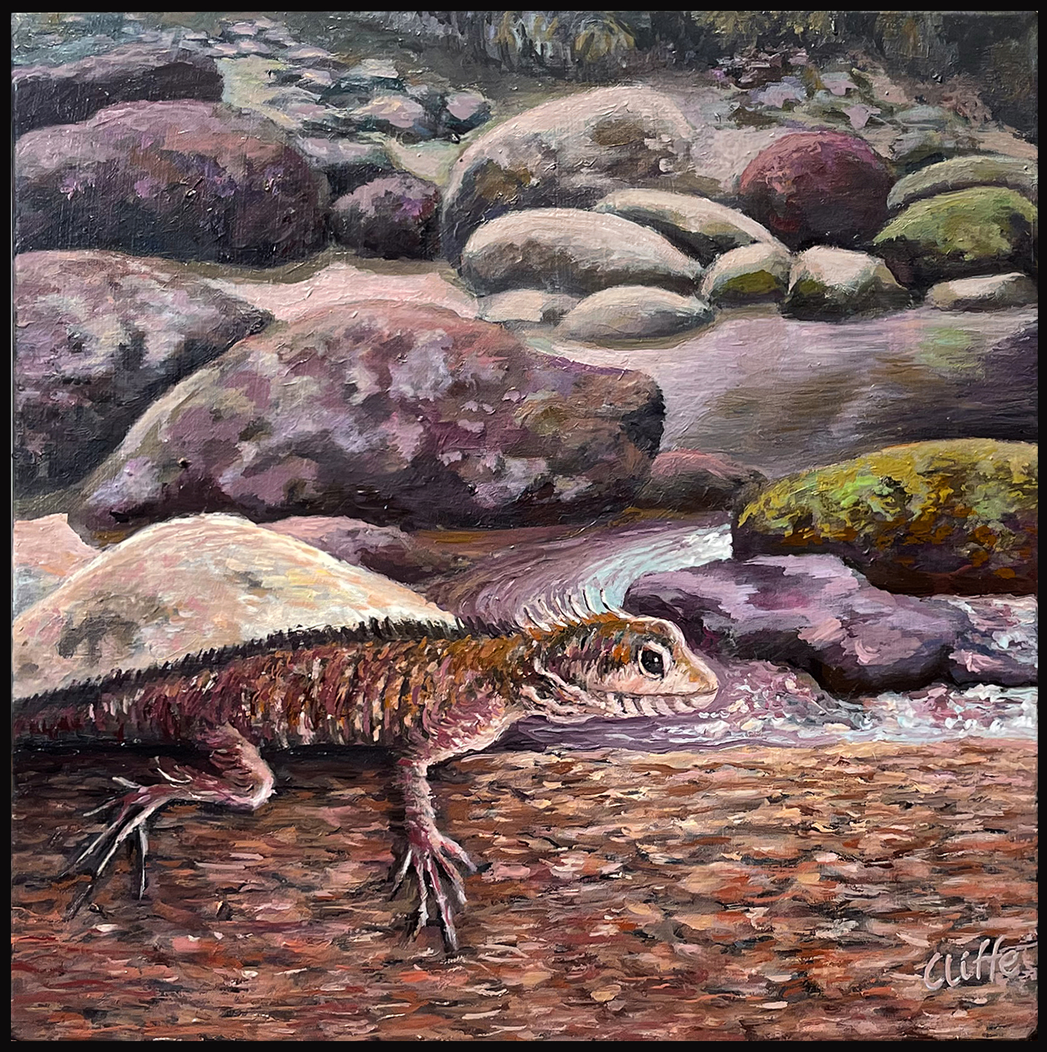 Lamington Lizard by Gregory Cliffe | Lethbridge 20000 2023 Finalists | Lethbridge Gallery
