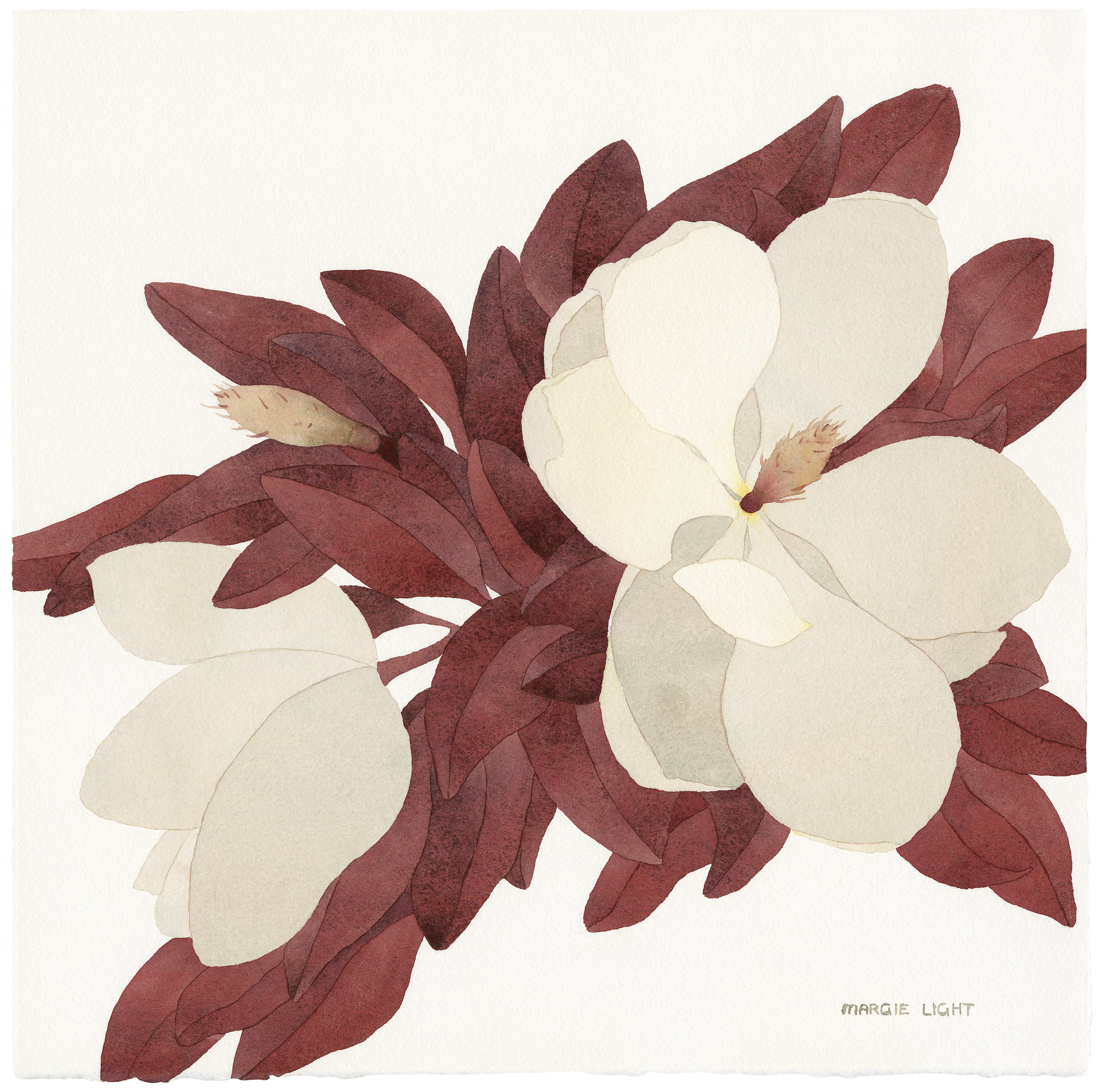 Runaway Magnolias by Margie Light | Lethbridge 20000 2023 Finalists | Lethbridge Gallery