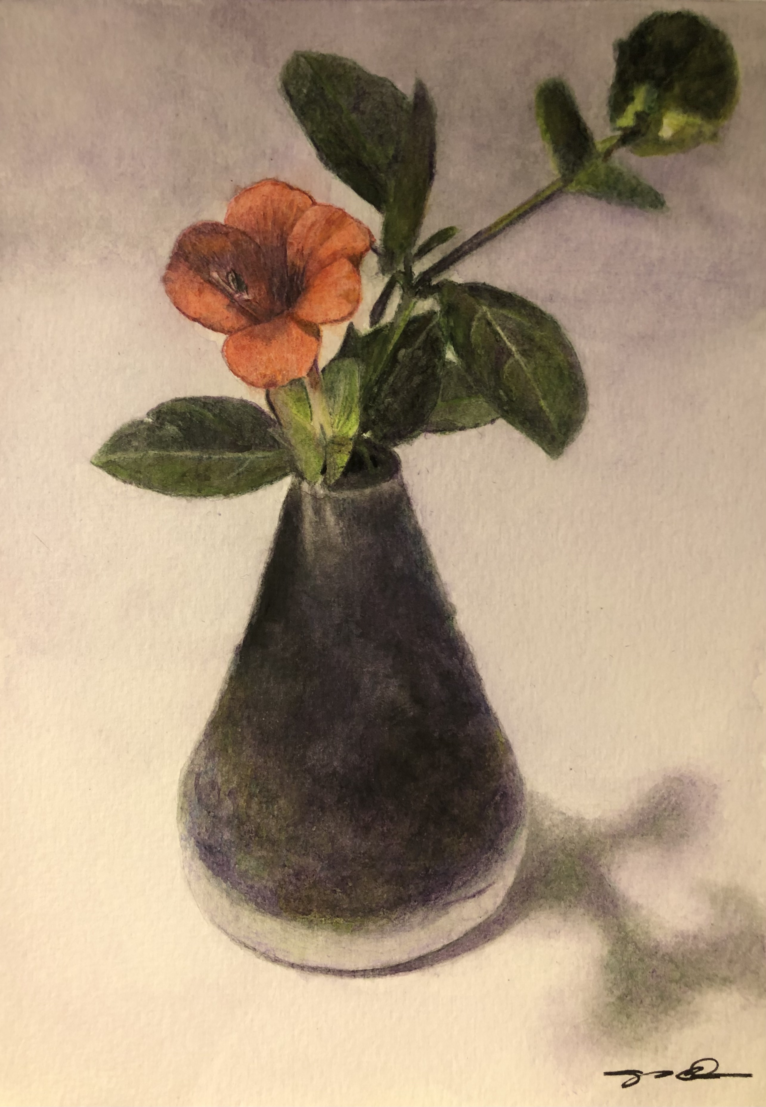 Orange Trumpet Creeper in the Bud Vase by Shinji Ogata | Lethbridge 20000 2023 Finalists | Lethbridge Gallery