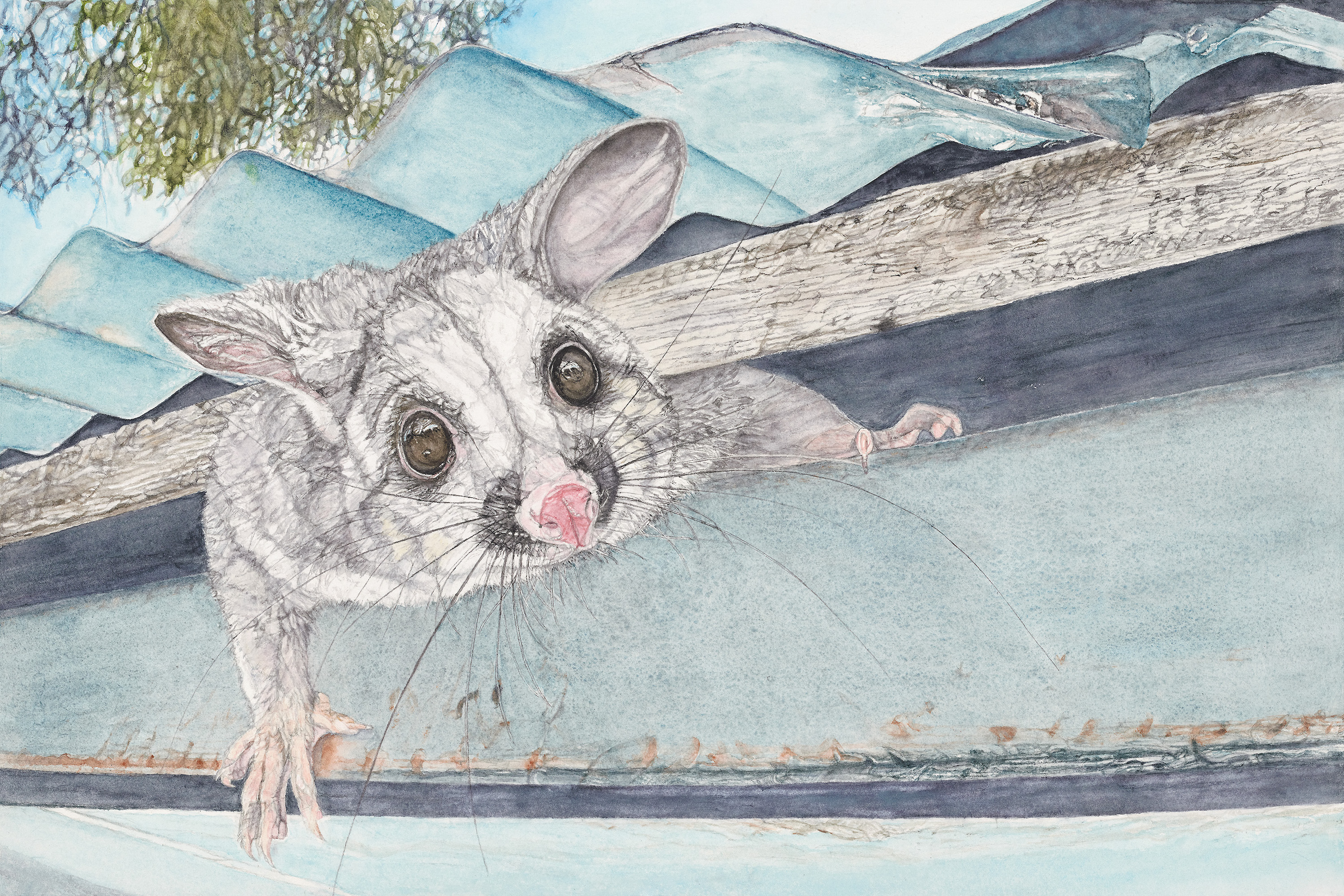 Hello Possums by Lyn Bartolo | Lethbridge 20000 2023 Finalists | Lethbridge Gallery
