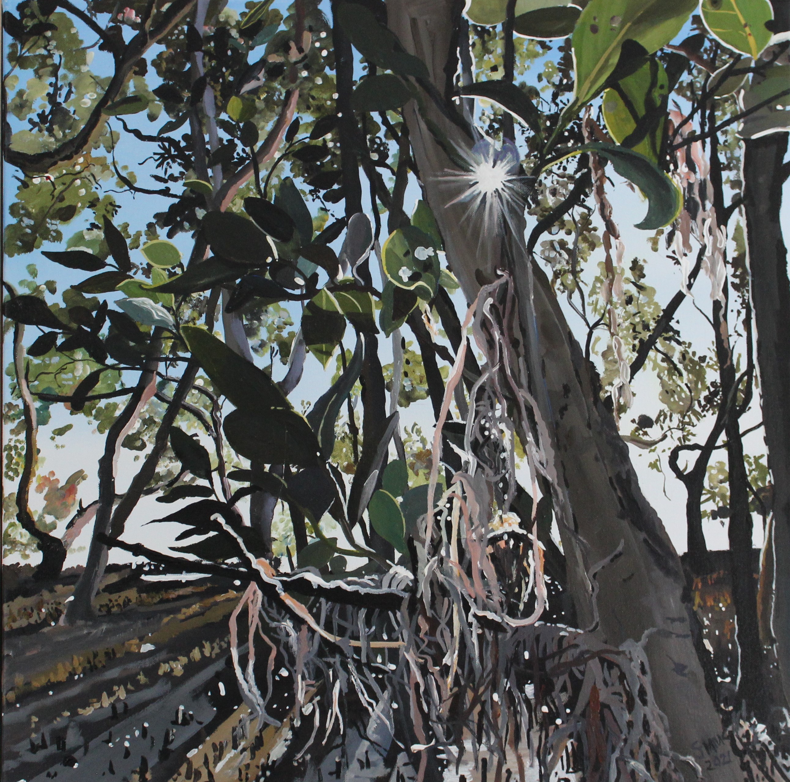Mangroves At 5AM by Gabi Mika-McNaughton | Lethbridge 20000 2023 Finalists | Lethbridge Gallery