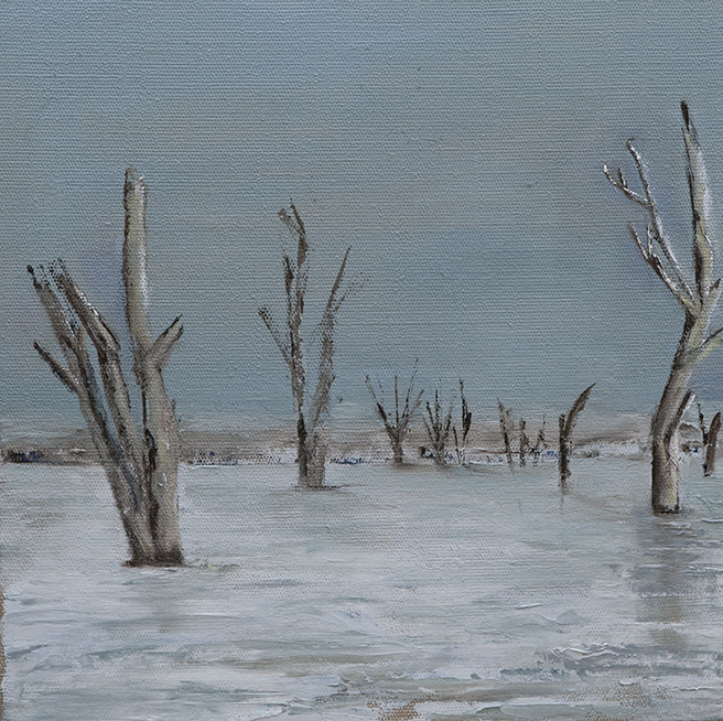 My Country Series- Mangrove Swamp by Robert Silverton | Lethbridge 20000 2023 Finalists | Lethbridge Gallery