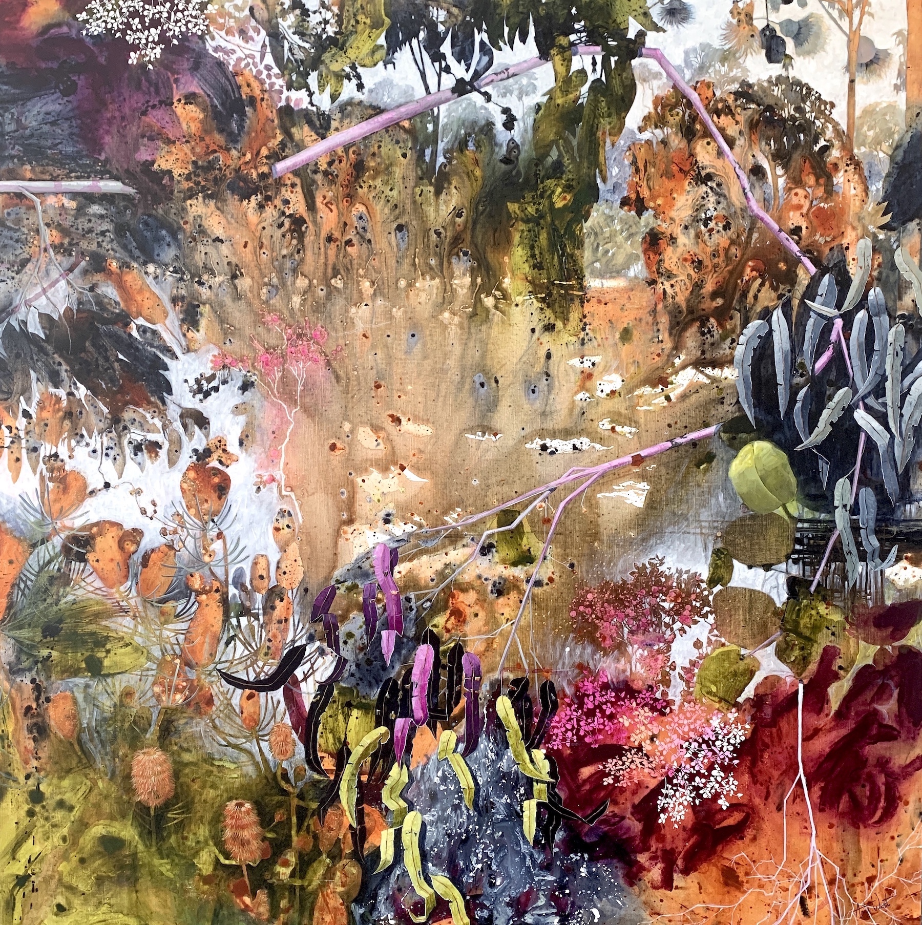 Banksia Rain by Anita West | Lethbridge Landscape Prize 2024 Finalists | Lethbridge Gallery