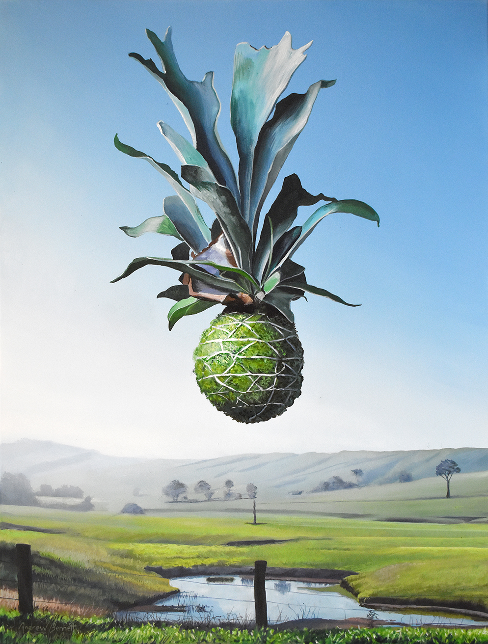 Stag Ball by Andrew Bennett | Lethbridge Landscape Prize 2024 Finalists | Lethbridge Gallery
