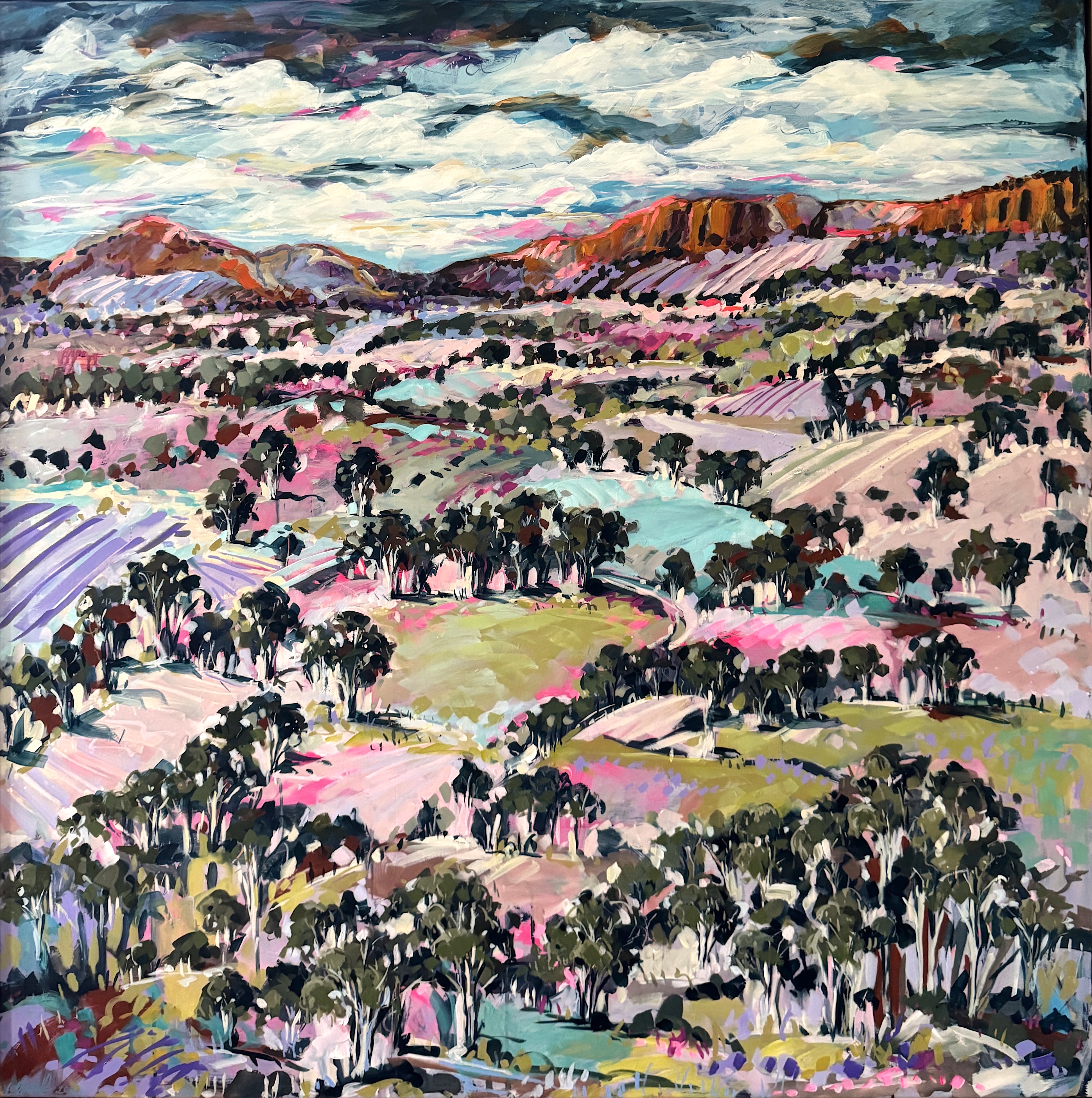 View from Mt. Sonder Lookout - West MacDonnell Ranges. N.T. by Cathy Usatoff | Lethbridge Landscape Prize 2024 Finalists | Lethbridge Gallery