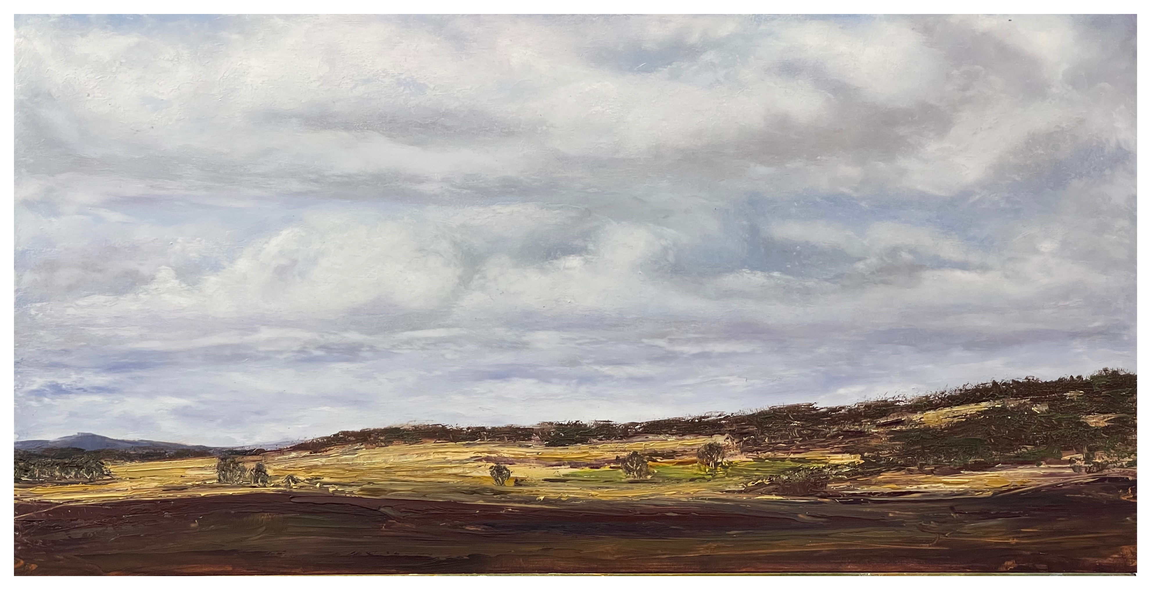 Dry July by Carmel Montague | Lethbridge Landscape Prize 2024 Finalists | Lethbridge Gallery