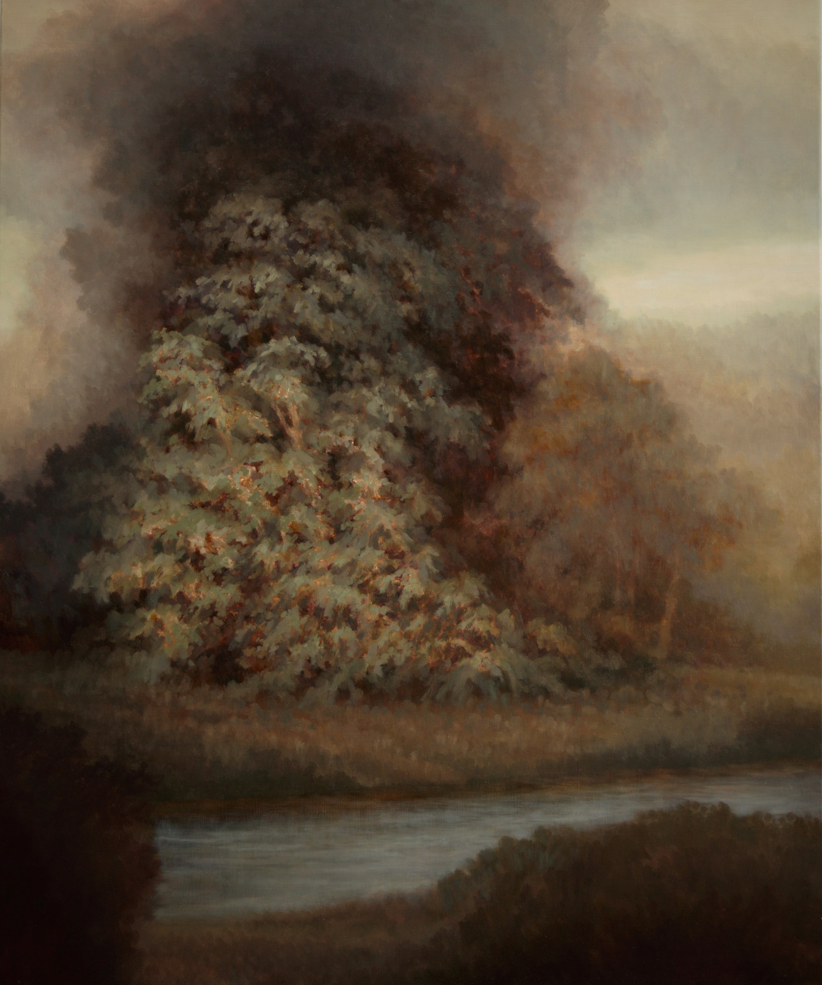 Wild tree by Remnim Alexander Tayco | Lethbridge Landscape Prize 2024 Finalists | Lethbridge Gallery