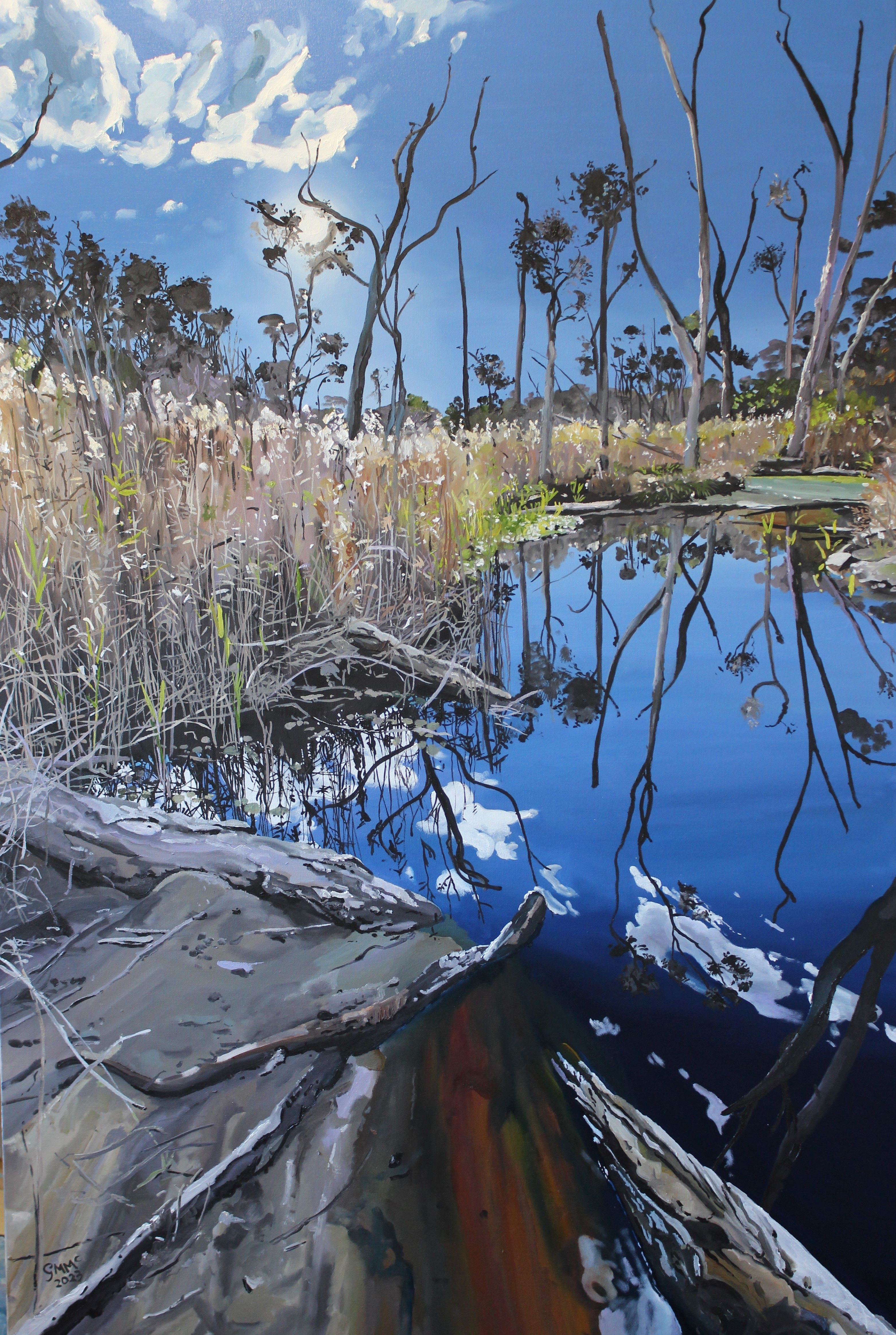 Bribie Billabong by Gabi Mika McNaughton | Lethbridge Landscape Prize 2024 Finalists | Lethbridge Gallery