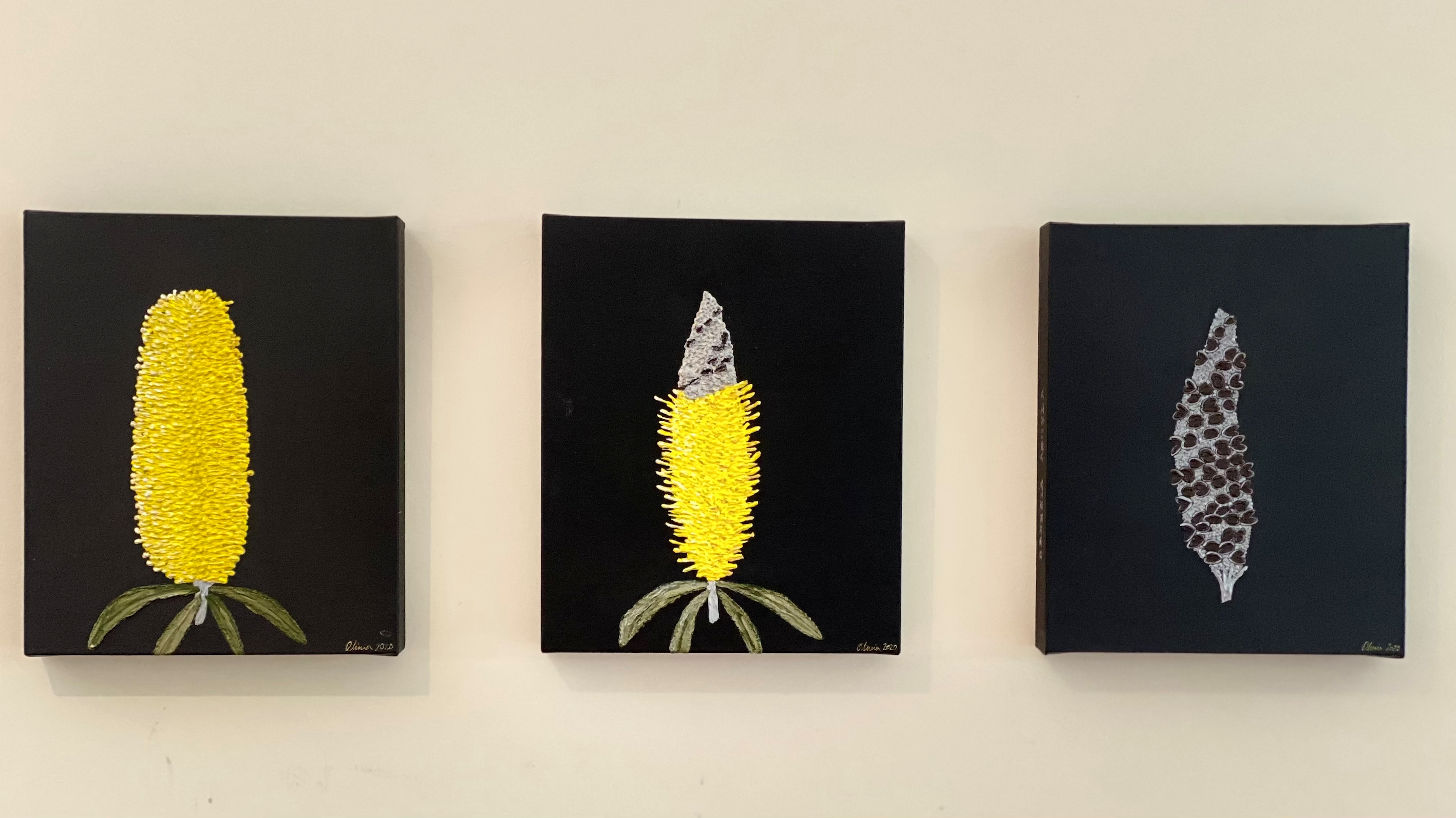 The life of Banksia Aemula at Stradbroke Is. by Olivia Ryan | Lethbridge 20000 2021 Finalists | Lethbridge Gallery