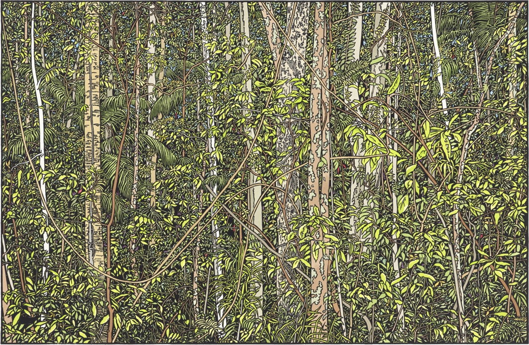 Rainforest at Ilkley, Queensland by Wayne Singleton | Lethbridge Landscape Prize 2021 Finalists | Lethbridge Gallery