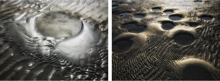 Digital Tide by Narelle Carter-Quinlan | Lethbridge Landscape Prize 2021 Finalists | Lethbridge Gallery