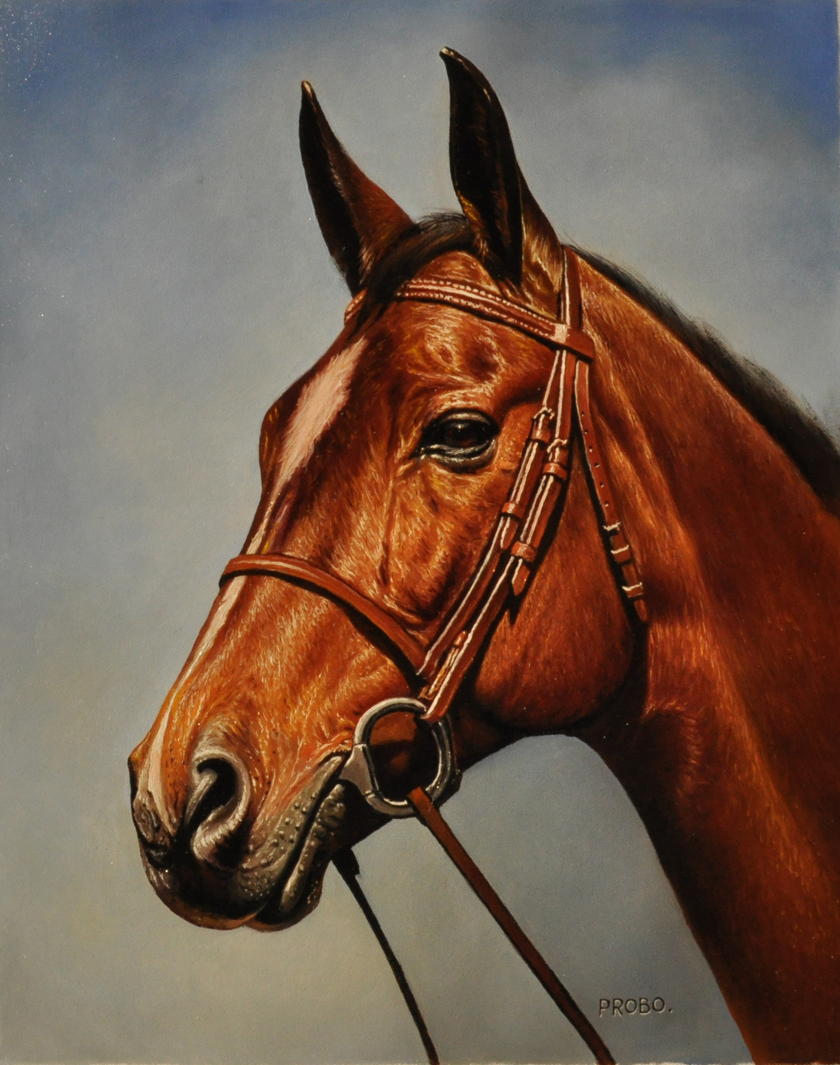 BROWN HORSE by PROBO | Lethbridge 20000 2021 Finalists | Lethbridge Gallery
