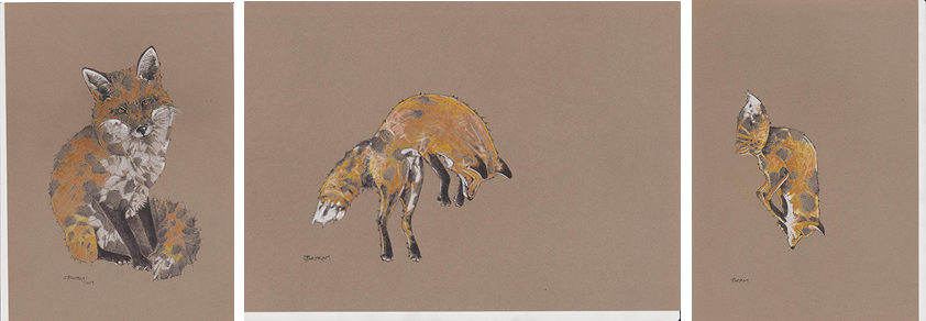 Red Fox by Jane Bartram | Lethbridge 20000 2021 Finalists | Lethbridge Gallery