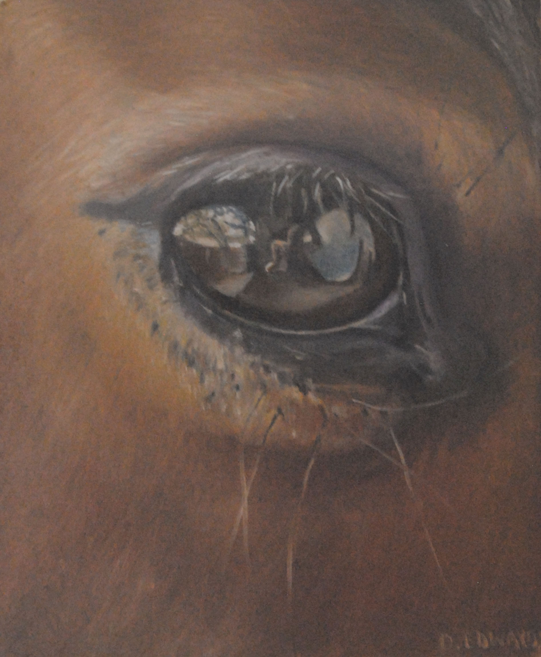 The girl in my eye. by Deborah Edwards | Lethbridge 20000 2021 Finalists | Lethbridge Gallery