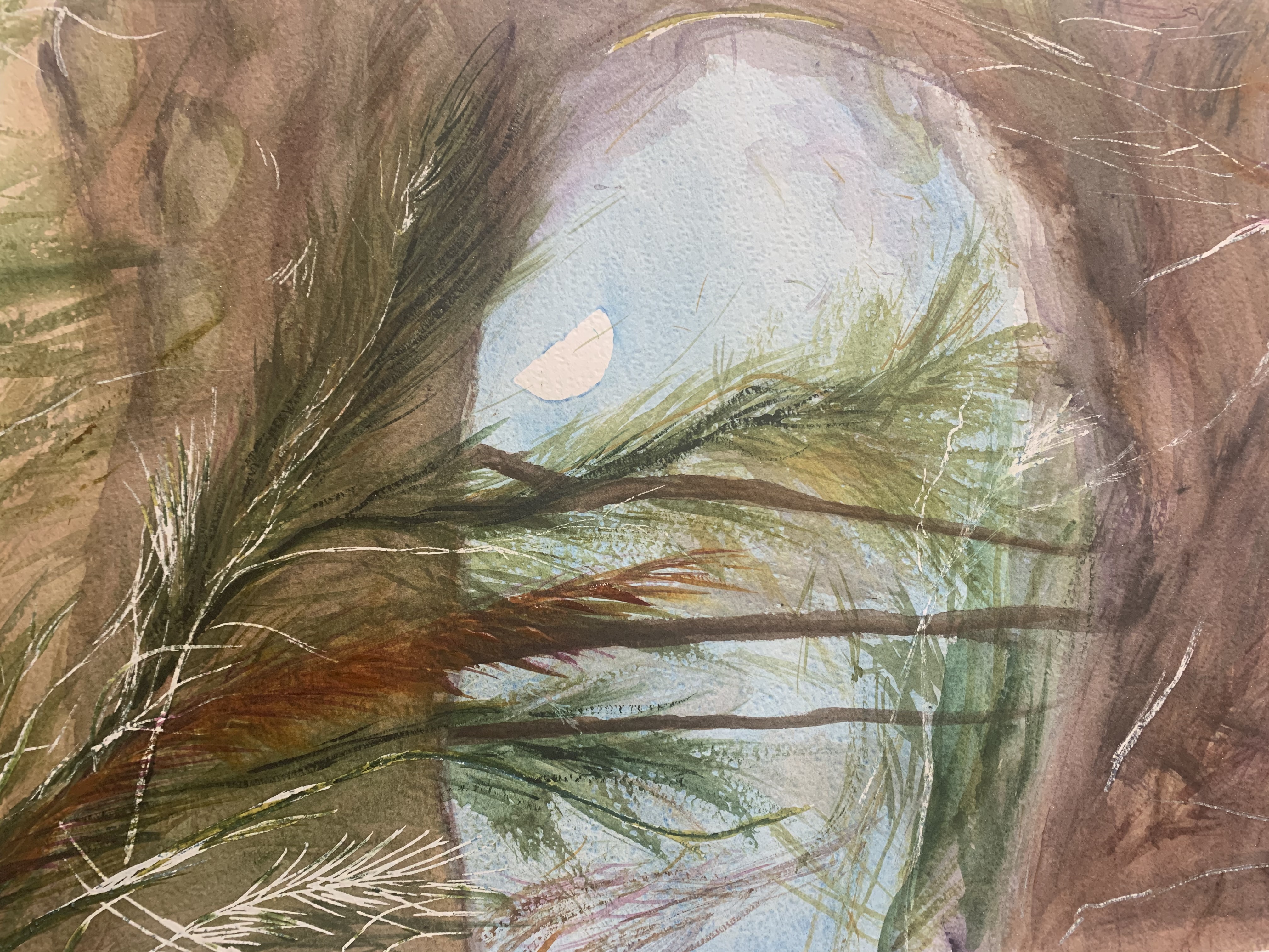 Half Moon in Creek by Diane Murphy | Lethbridge 20000 2021 Finalists | Lethbridge Gallery