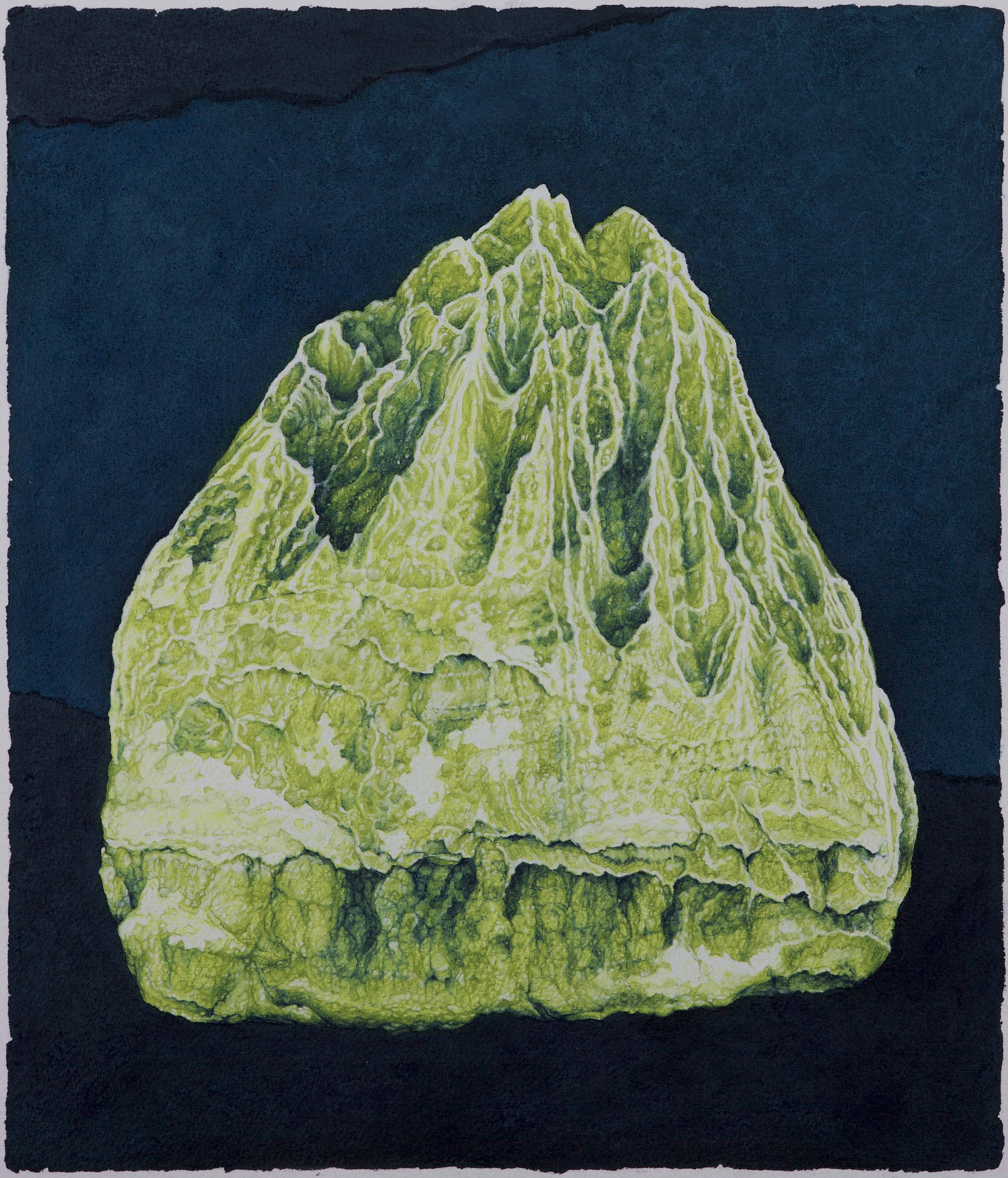 Geological Botanica by Wayne Talbot | Lethbridge 20000 2021 Finalists | Lethbridge Gallery