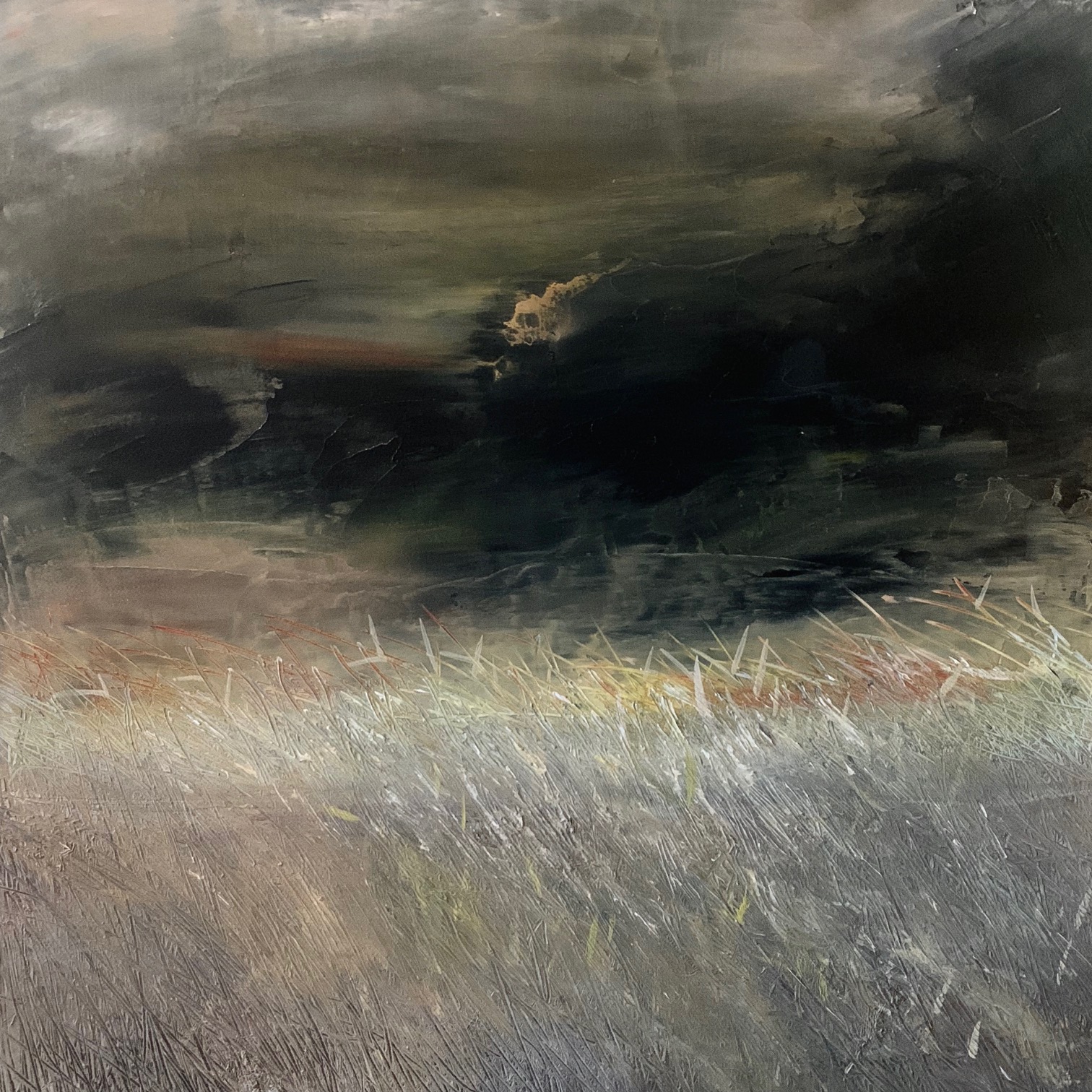 Irish Bog windswept by Solza | Lethbridge 20000 2021 Finalists | Lethbridge Gallery
