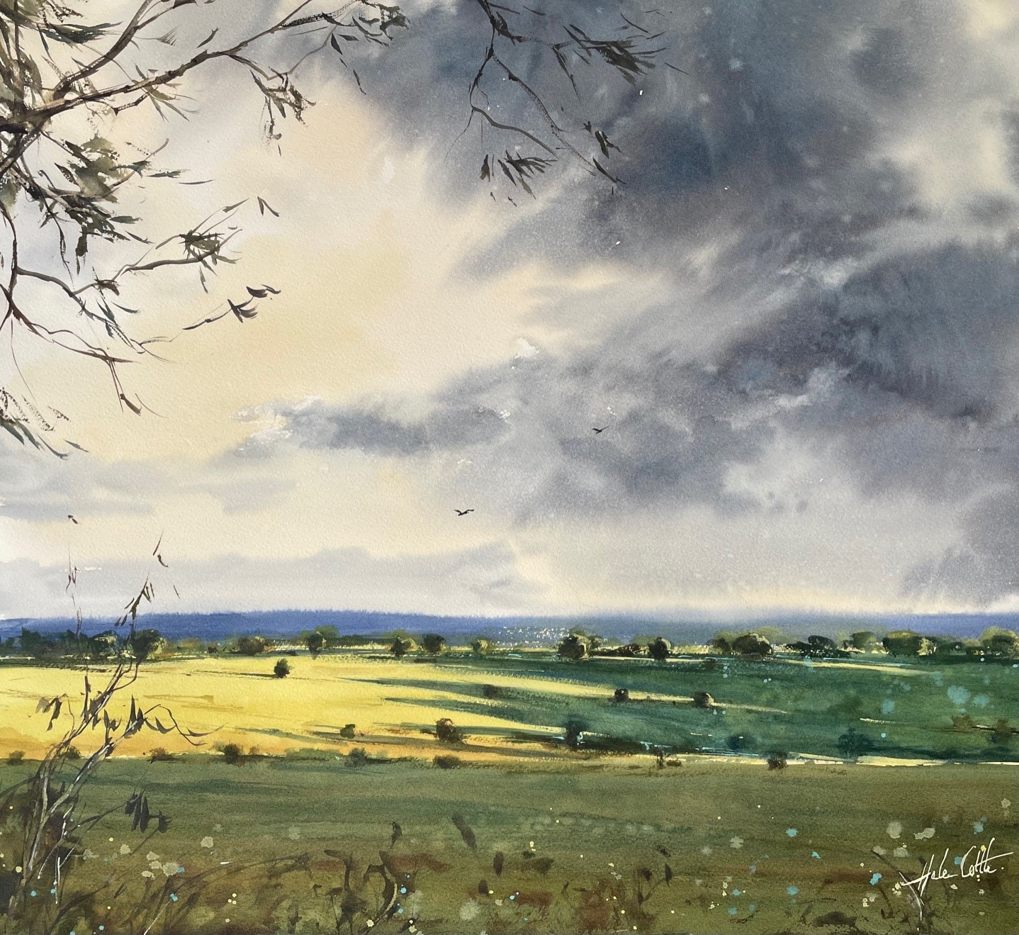 Atmospheric Autumn light, Macedon Ranges Victoria by Helen Cottle | Lethbridge 20000 2021 Finalists | Lethbridge Gallery