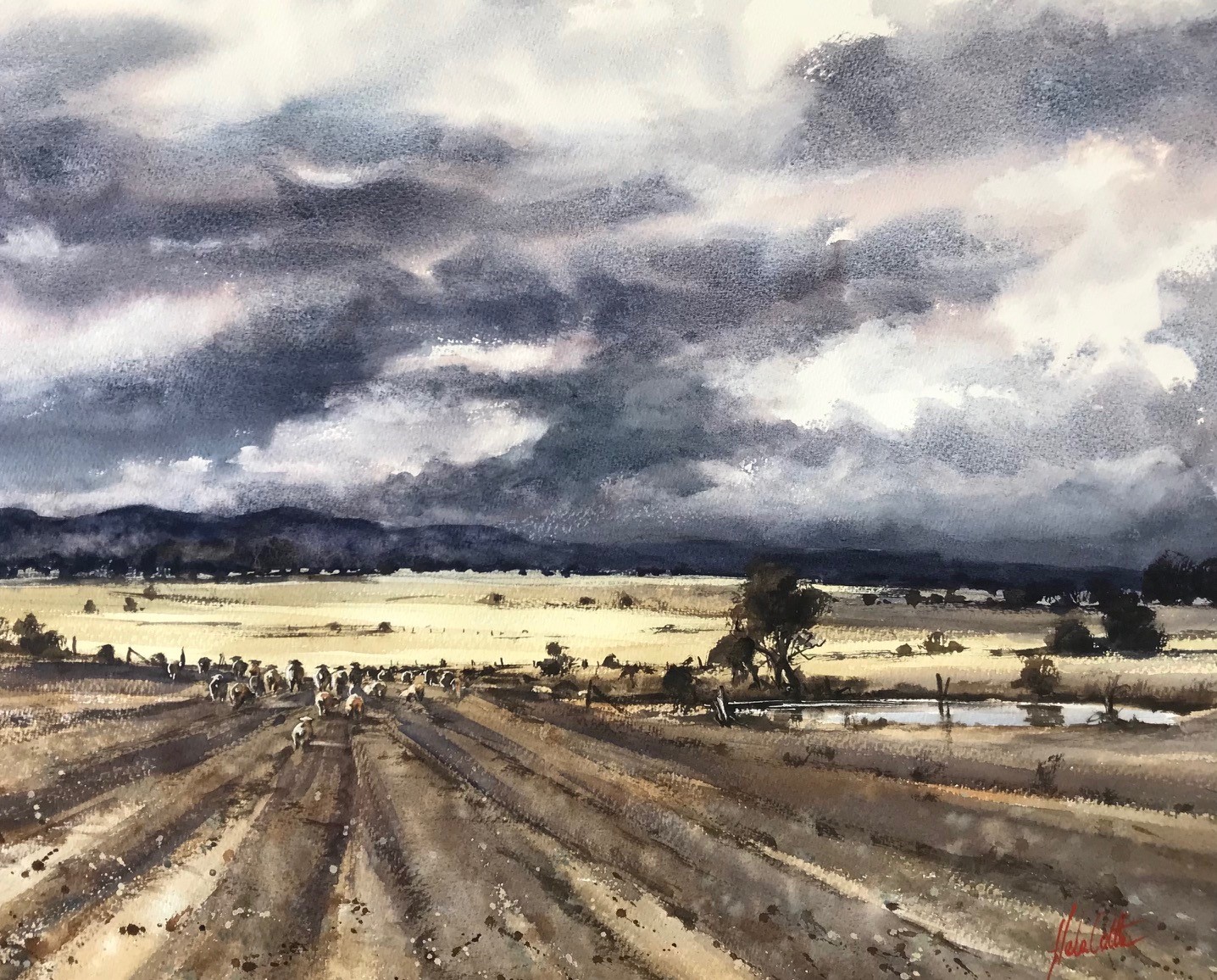 Welcome rain over thirsty land, Macedon Ranges Victoria by Helen Cottle | Lethbridge 20000 2021 Finalists | Lethbridge Gallery
