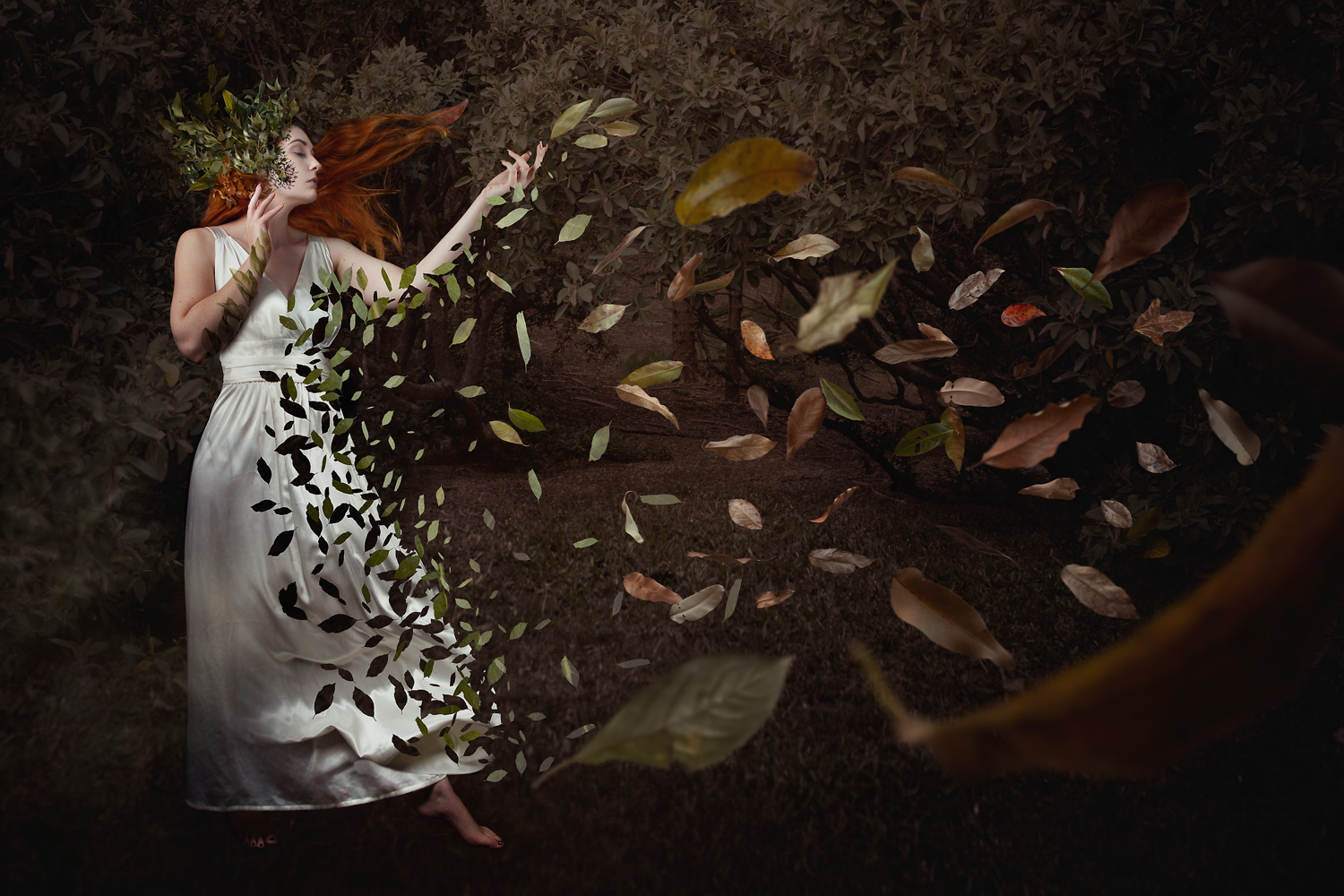 Autumn leaves by Hayley Roberts | Clayton Utz Art Award 2021 Finalists | Lethbridge Gallery