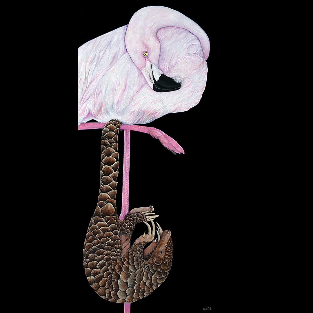 Just hanging in there by Ronelle Reid | Clayton Utz Art Award 2021 Finalists | Lethbridge Gallery