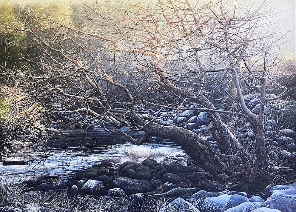 Witch Tree by Naomi White | Lethbridge Landscape Prize 2022 Finalists | Lethbridge Gallery