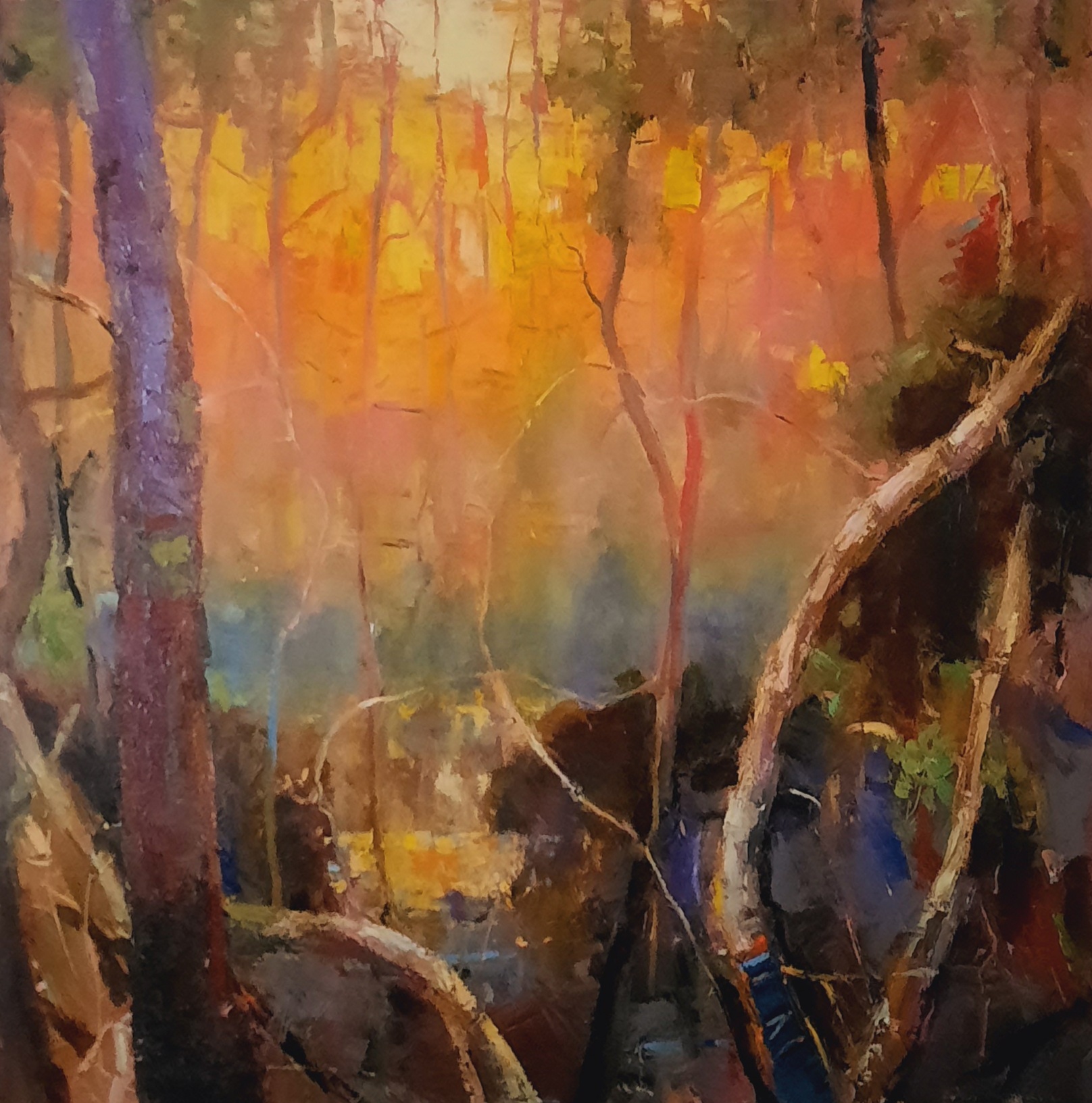 Sunset through the Mangrove Forest by Barry Back | Lethbridge Landscape Prize 2022 Finalists | Lethbridge Gallery